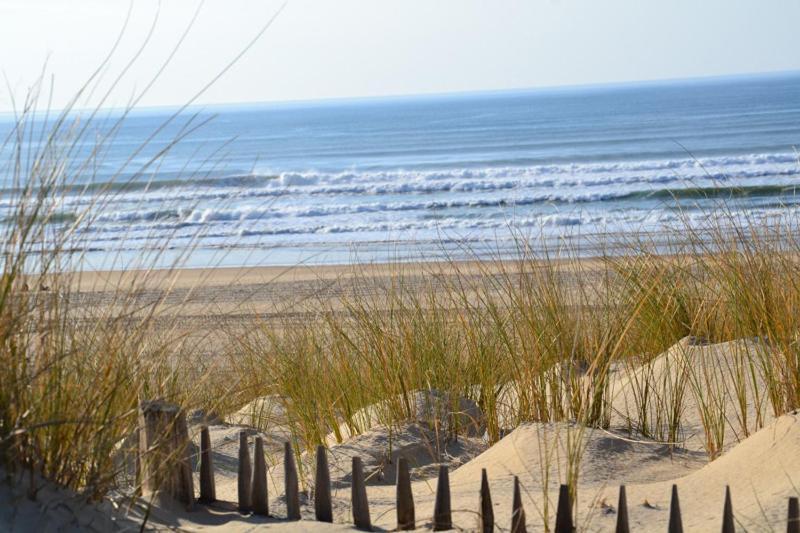 Moliets Plage Appartement Pour 4 Piscine Proche Plage Et Commerces Zewnętrze zdjęcie